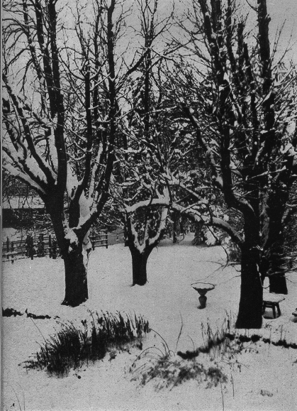 Edmund Reinhardts Garten im Meierhof von Leopoldskron. DOrt wurde seine Asche, seinem Wunsche gemaess, verstreut